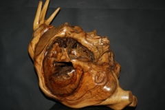 metamorfosi