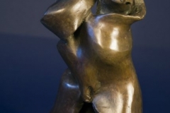 Female-Torso